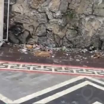 Kadıköy Belediyesi Sokak Çöpleri