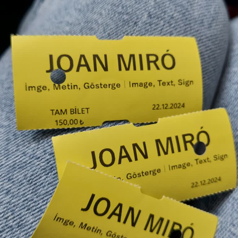 Arkas Sanat Merkezi Yanlış Bilgiyle Sergiye Giriş Ve İade Sorunu!