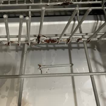 Franke Yeni Bulaşık Makinesi İçinde Paslanma Ve Çürüme Mevcut!