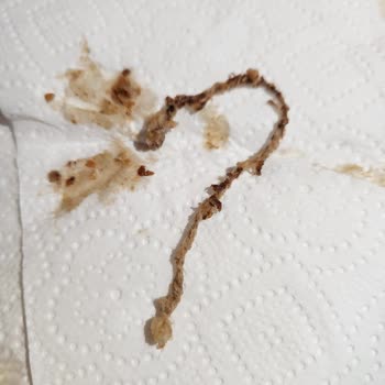 File Market Esenyurt Şubesinde Simit Skandalı