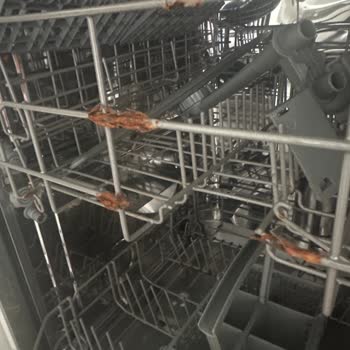 Paslanan Sepetler: Teka Bulaşık Makinesi Hayal Kırıklığı