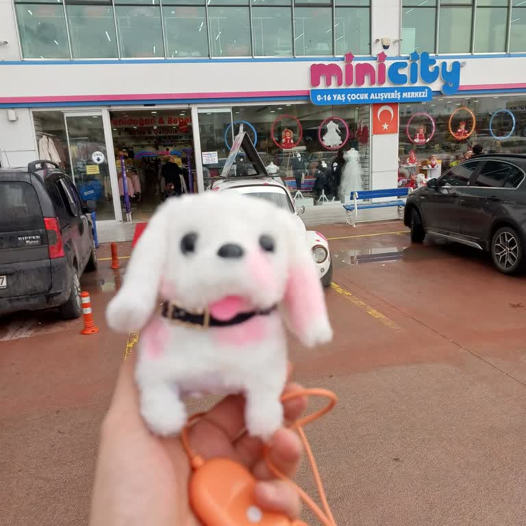 Minicity Oyuncak Arızası Ve Mağaza İlgisizliği