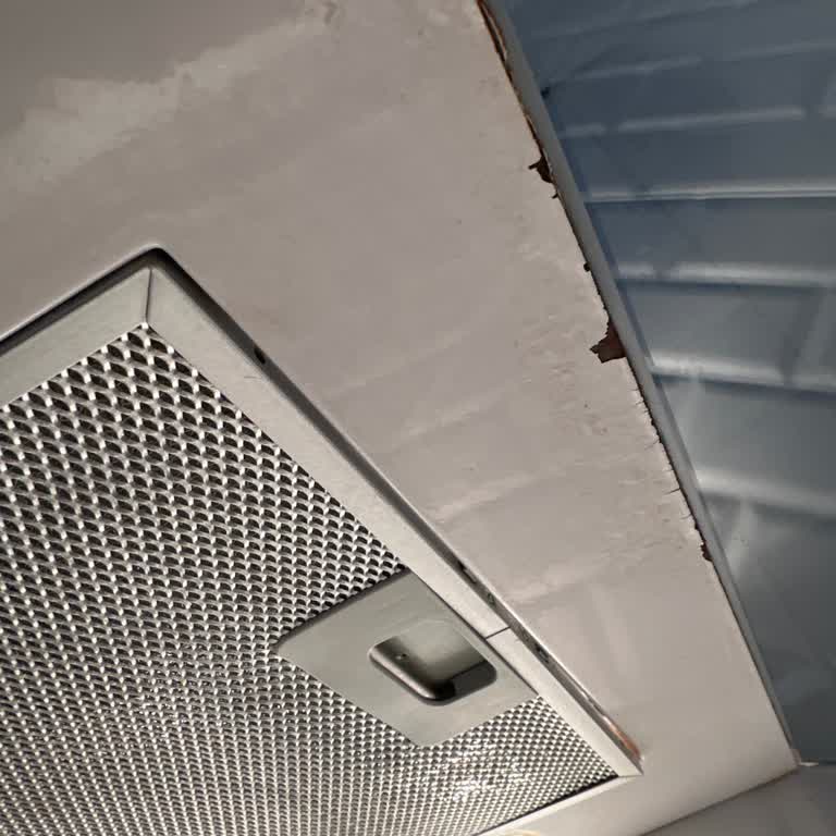 Vestel Ankastre Setinde Boya Sorunu Ve Müşteri Hizmetleri Ücreti