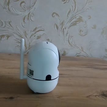 Kiwi Kamera Uygulama Güncellemesi Mağduriyeti