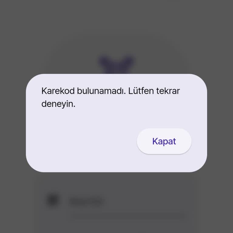 Video Çözüm Erişimi Ve Deneme Kalitesi Sorunları