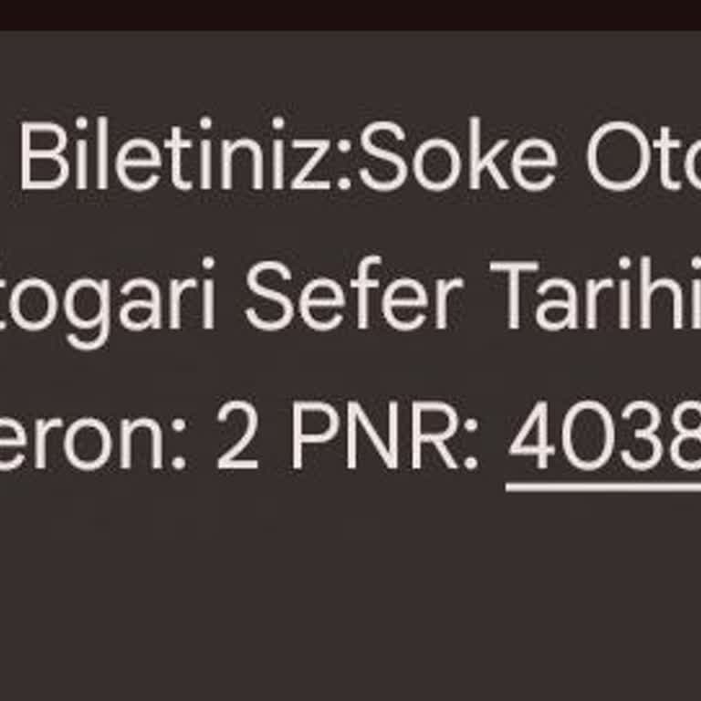 Aras Turizm Saygısız Ve Sorumsuz Otobüs Yolculuğu!