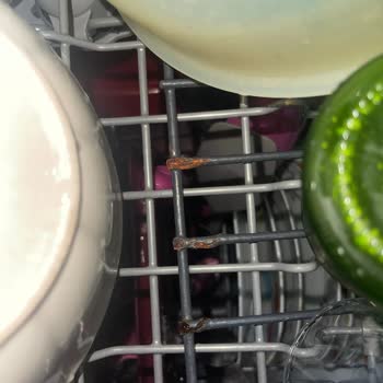 Arçelik Bulaşık Makinesi Sepeti Paslandı