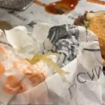 Ercan Burger Ümraniye Şubesi Yemekten Çıkan Kıl!