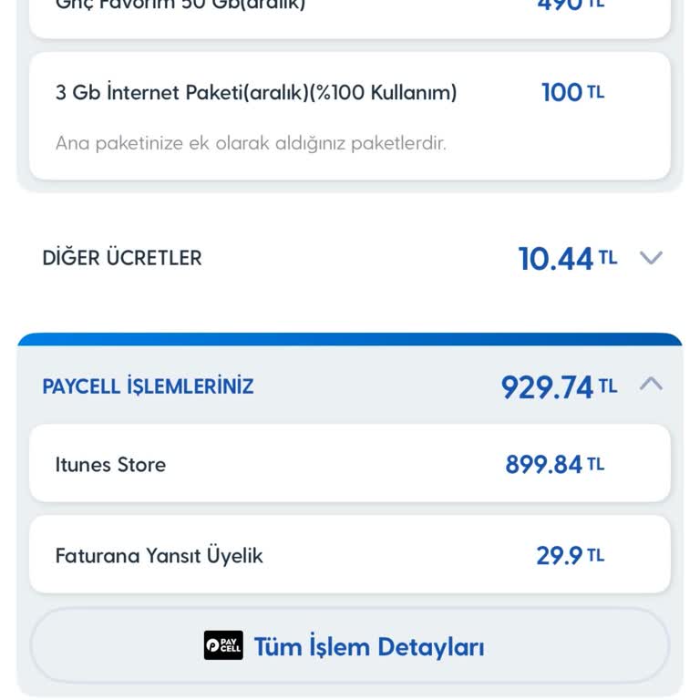 Faturama Bilgim Dışında Yansıyan İşlemler