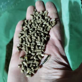 Özlem Yem'den Beklenmedik Kalitesizlik: Ayçiçek Kabukları Sorunu