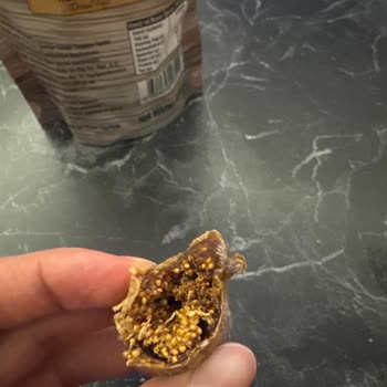 Hazarbey Kuru İncir Ve Dut Ürünlerinde Hayal Kırıklığı