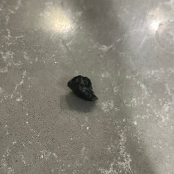 Tamek Nohut Konservesinden Taş Çıktı