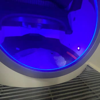 Neutron Kesi Tuvalet Felaketi: 20.000 Lira Çöp Oldu