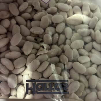 Kuru Fasulye Paketinde Hijyen Skandalı