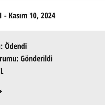 İade Sürecinde Yaşanan Gecikme Ve İletişim Sorunları