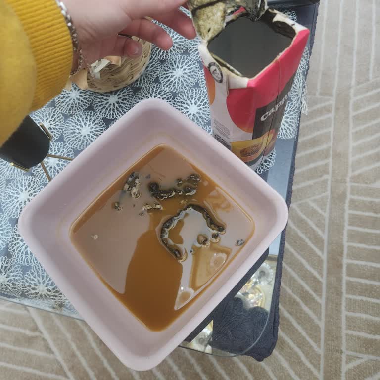 Cappy Şeftali Meyve Suyunda Beklenmedik Parçalar