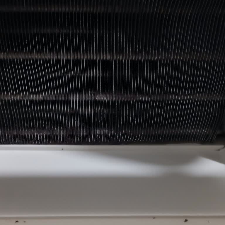 Kurutma Makinesi Sorunları Ve Memnuniyetsizlik