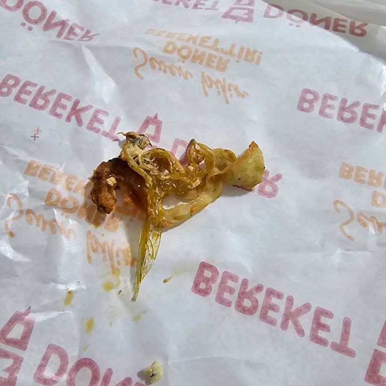 Bereket Döner İçerisinde Streç Film Çıktı Bir De Pişmemiş Çiğ Deri!