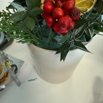 Osevio.com Kalitesiz Çiçek Ve Yetersiz Müşteri Hizmetleri Deneyimi