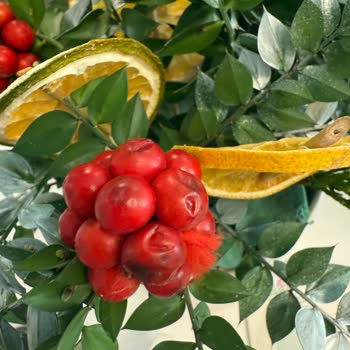 Osevio.com Kalitesiz Çiçek Ve Yetersiz Müşteri Hizmetleri Deneyimi