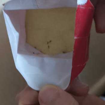 Market Ürününde Böcek Şoku
