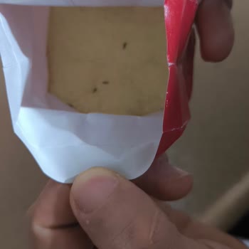 Market Ürününde Böcek Şoku