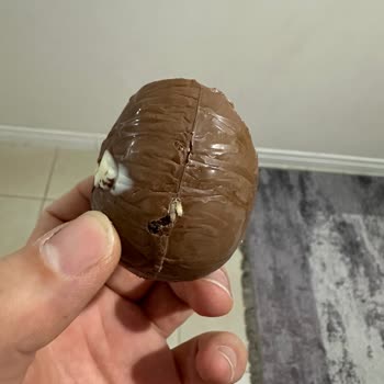 Migros'tan Aldığım Üründe Kurt Şoku!