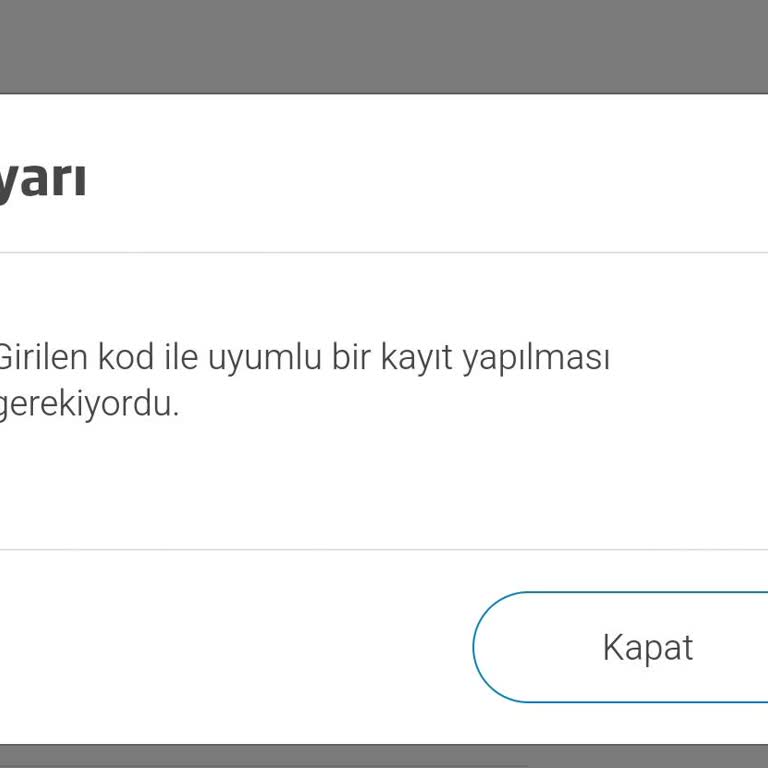 Öğretmenler Günü Kampanyasında Mebbis Doğrulama Sorunu