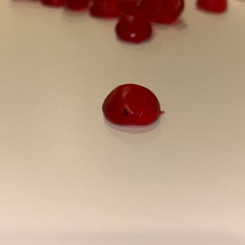 Takviye Vitamininde Böcek Şoku
