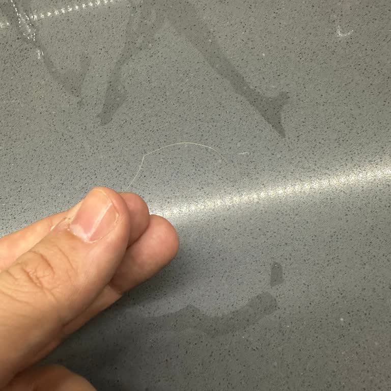 Ekmeğin İçinden Çıkan Plastik Kıl Şoku