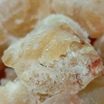 Çorba Paketinde Şok Edici Keşif: Kıllar!