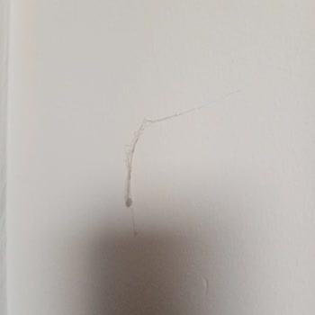 Arya Termal Otel'de Hayal Kırıklığı: Temizlik Ve Hizmet Sorunları