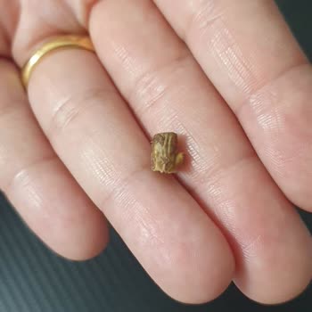 Ay Işığı Tatlıcısı Ankara Fıstıklı Baklavadan Çıkan Yabancı Madde Şoku!