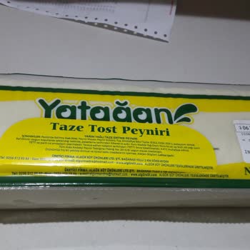 Taze Kaşarda Ölü Sinek Şoku