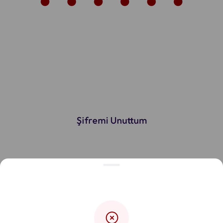 Kapatılan Hesap Ve Ulaşılamayan Destek Hattı