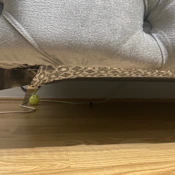 Sert Süngerler Ve Geciken Teslimat: Hayal Kırıklığı