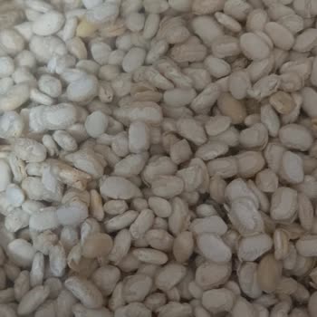 Kuru Fasulyenin Kalitesi Hayal Kırıklığı Yarattı