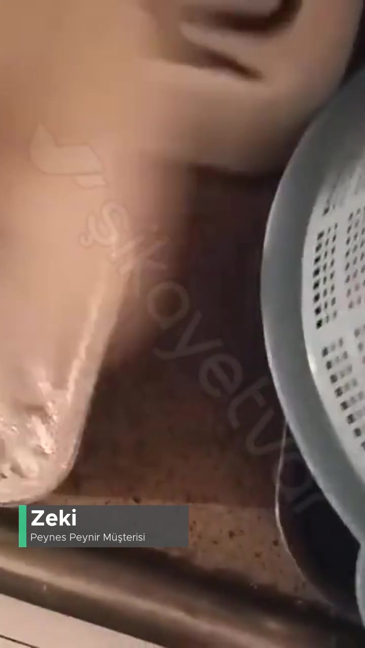 Peynes Peynir Peynir Nerede Acaba? videonun kapak resmi