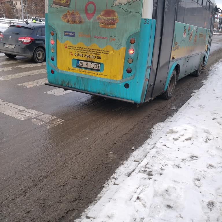 Erzurum Halk Otobüslerinde Güvenlik Sorunu Ve Yolcu Mağduriyeti