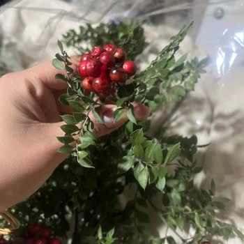 Çürük Kokinalar Ve İlgisiz Müşteri Hizmeti