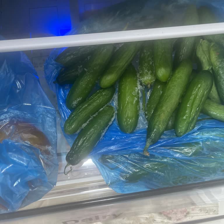 Arçelik Buzdolabı Sorunu: Ürünleri Sürekli Donduruyor