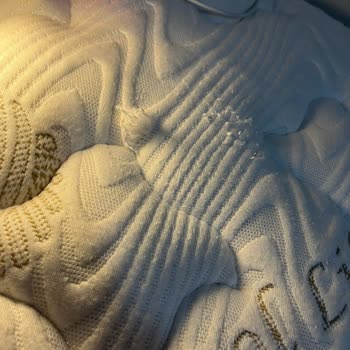 Bambi Yatak Sildikten Sonra Deformasyona Uğradı