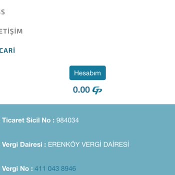 GPay Hesabına Yatırılan Paranın Kaybolması