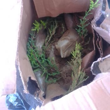 Hasarlı Kargo Teslimatı Ve Haksız İade Ücreti