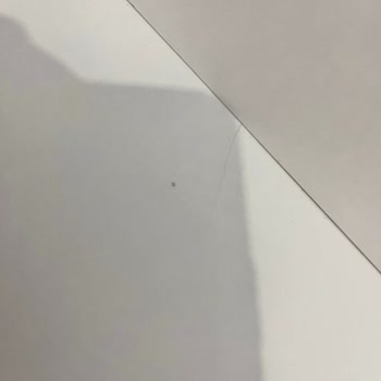 Mobilya Teslimatında Yaşanan Sorunlar Ve Çözüm Beklentisi