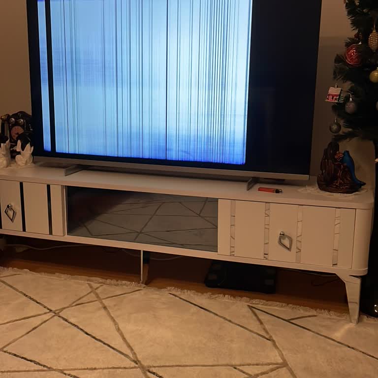 Philips TV'de Görüntü Sorunu Ve Yetersiz Hizmet