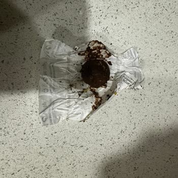 Carrefour'dan Alınan Çikolatada Böcek Şoku