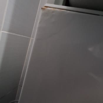 Bosch Çamaşır Makinesi: Beklenmedik Paslanma Sorunu