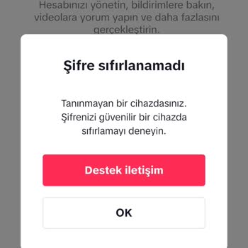 TikTok Hesabına Erişim Sorunu