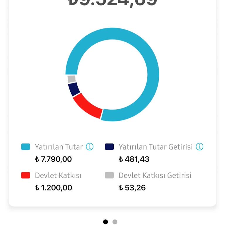 BES Yatırımlarında Beklenmedik Kesintiler